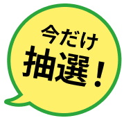 今だけ抽選